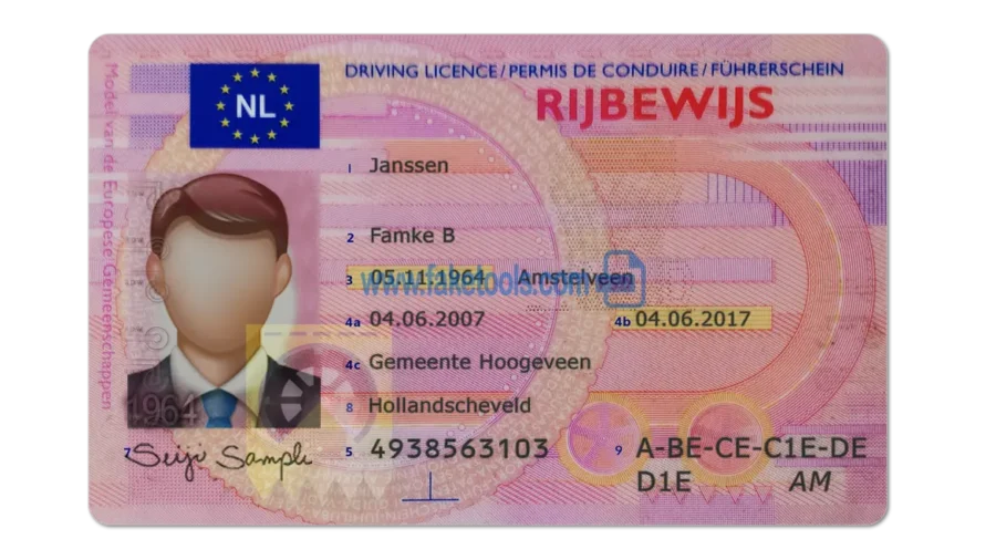 Netherlands Drivers License template PSD | High-Quality & Editable