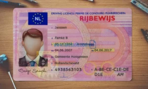Netherlands Drivers License template PSD | High-Quality & Editable