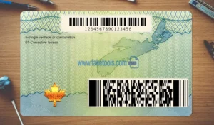 Nova Scotia Drivers License template PSD | High-Quality & Editable