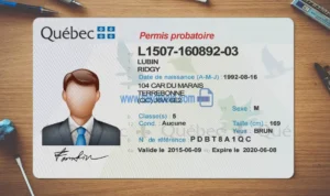 Quebec Drivers License template PSD | High-Quality & Editable