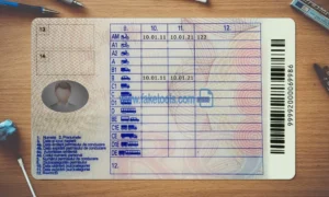 Romania Drivers License template PSD | High-Quality & Editable