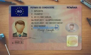 Romania Drivers License template PSD | High-Quality & Editable