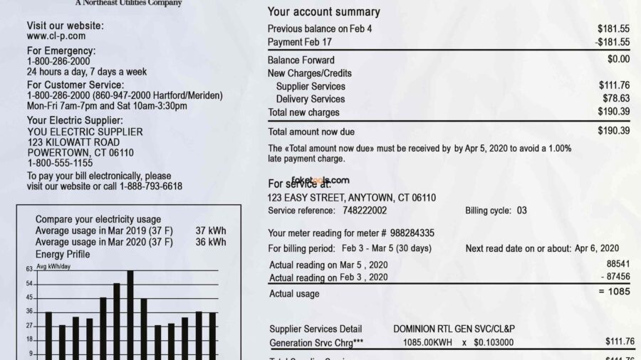 Connecticut utility bill template psd | Connecticut proof of address template psd