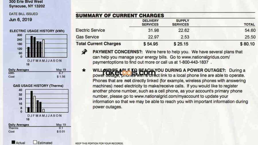 new york utility bill template psd | new york proof of address template psd
